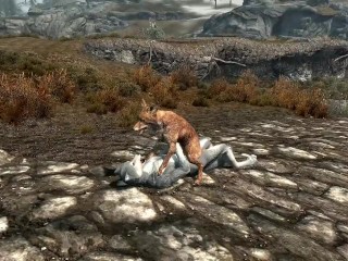 Fox Lover- Animated Bushy yiff between a fox and an anthro wolf in Skyrim
