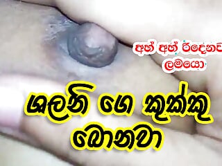 Srilankan kukku Shalani boobs sucking and fucking asian woman sinhala