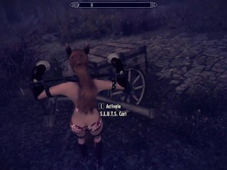 SKyrim: Enslaved and Was a S.L.U.T.S ponygirl Phase 1